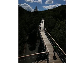 Baumwipfelpfad in Bad Harzburg