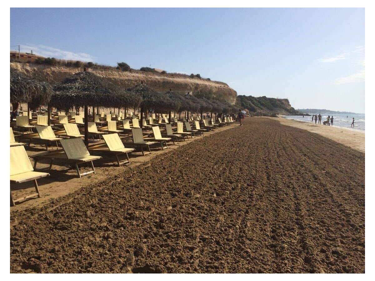 Holiday apartment Attico Terrazza CieloMare - Environment photo 31