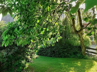 Ferienwohnung Sehestedt (Nord-Ostsee-Kanal) Außenaufnahme 7