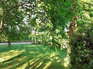 Ferienwohnung Sehestedt (Nord-Ostsee-Kanal) Außenaufnahme 8