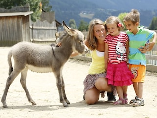 Casa per le vacanze Trebesing Ambiente 40
