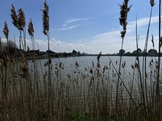 Natur pur am See