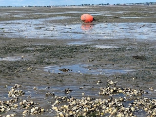 Ferienhaus Nordseebad Eckwarderhörne  46