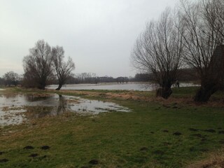 Casa per le vacanze Boltenhagen Ambiente 26