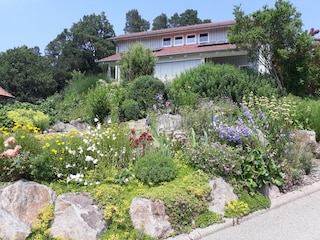 Garten vor dem Ferienhaus