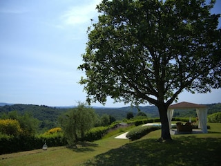 Ferienhaus Palaia Außenaufnahme 2