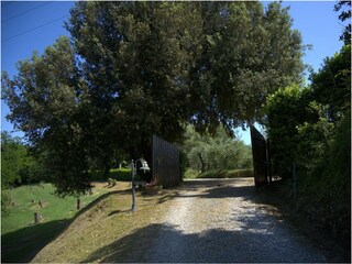 Vakantiehuis Palaia Buitenaudio-opname 15