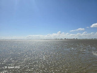 Wattenmeer bei Ebbe
