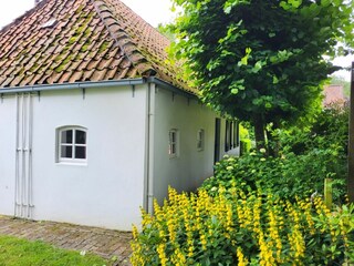 Ferienhaus Groothusen Außenaufnahme 40