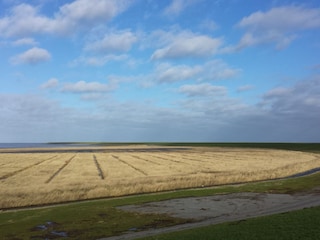 Deichvorland am Pilsumer Deich
