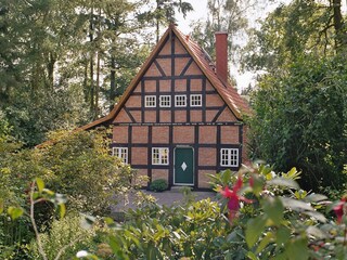 Ferienhaus Armsen vom Garten