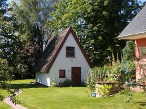 Ferienhaus Villa Huhn, Ostseenähe - Dierhagen - image1