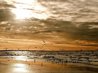 Ferienwohnung Norderney Umgebung 8