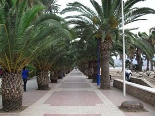Villa Mazarrón Environnement 20