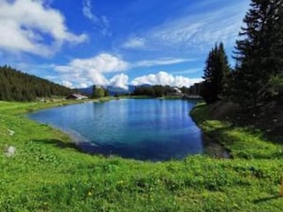 Vakantiehuis La Perrière Omgeving 37