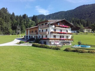 Moosgut im Sommer