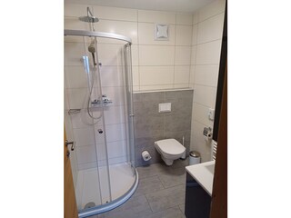 Vakantieappartement Abtenau Kenmerken 10