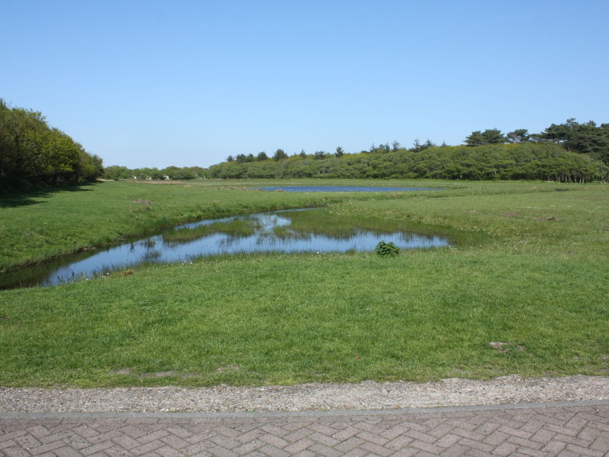 Radweg durchs Grün