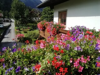 Appartamento per vacanze Bichlbach Caratteristiche 18