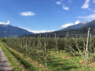 Appartamento Lana Ambiente 16