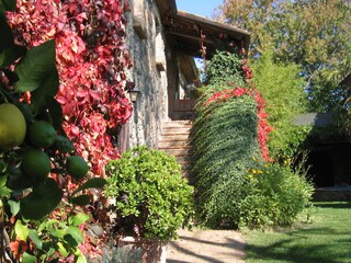 Holiday house Orvieto Environment 5