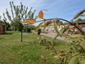 Apartment Wunderschöne Ferienwohnung mit Garten - Wiek - image1