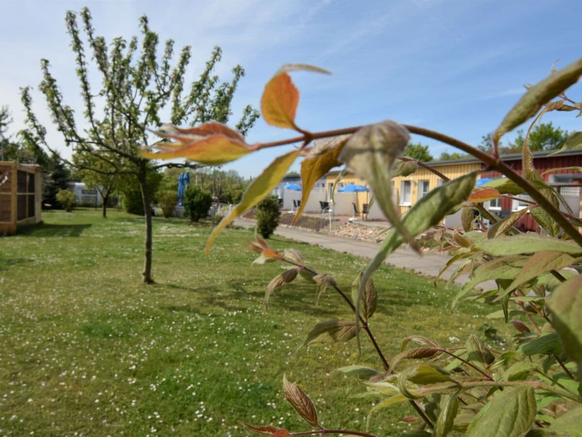 Apartamento Wiek Grabación al aire libre 1