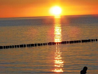 Appartamento Wiek Ambiente 37