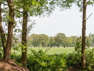Vakantiehuis Heino Omgeving 28