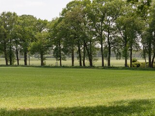 Vakantiehuis Heino Omgeving 27