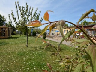 Appartement Wiek Buitenaudio-opname 11