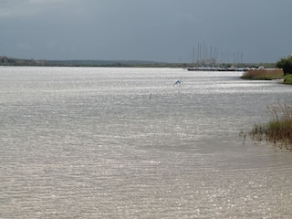 Apartment Wiek Umgebung 27