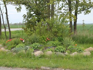 Appartement Wiek Buitenaudio-opname 10