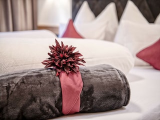 Bauernhof Hippach  29