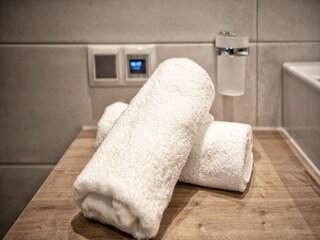 Type de propriété : Ferme Hippach  36