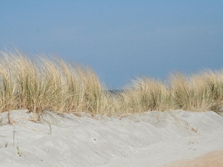 Apartment Friedrichsdorf Environment 28