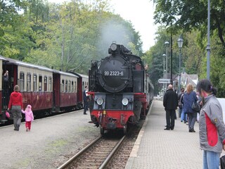 Bungalow Nienhagen Umgebung 15