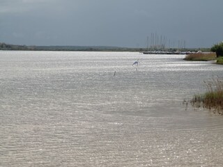 Apartment Wiek Umgebung 26