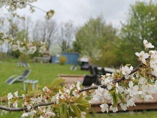 Appartamento Wiek Ambiente 23