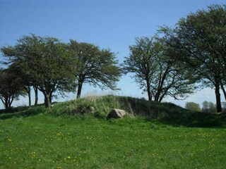 Appartamento Wiek Ambiente 32