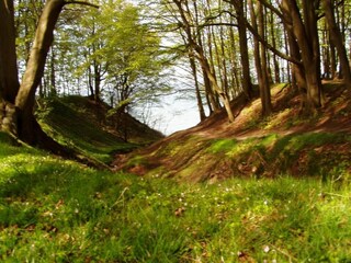 Appartement Wiek Environnement 24