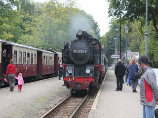 Bungalow Nienhagen Umgebung 29