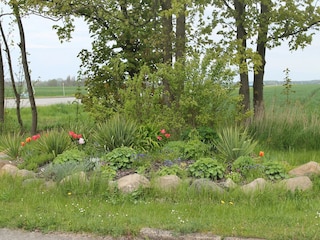 Apartment Wiek Außenaufnahme 10