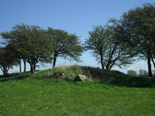 Appartamento Wiek Ambiente 33