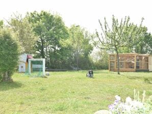 Grazioso appartamento a Wiek con giardino - Chiedere - image1