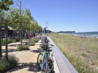 Apartment Wiek  29