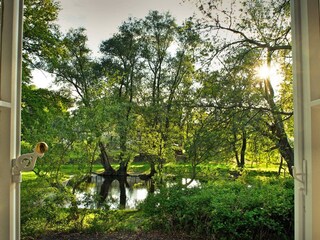 Blick in den Park