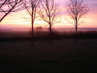Morgennebel