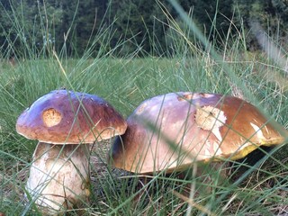 Casa per le vacanze Güntersberge Documento 28