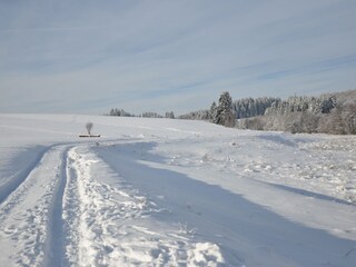 Casa de vacaciones Güntersberge Entorno 25
